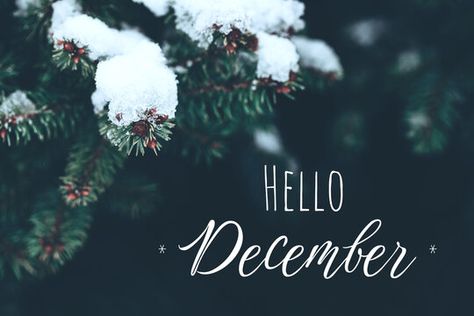 ❄️December has arrived! January Photography, December Instagram, Birthday Party Locations, Hello December, Seasonal Activities, Doo Doo, Day Care, My Brain, Cover Photos