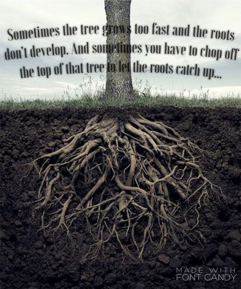 Pure Country Quotes - Roots - Grandma Ivy Pure Country Movie Quotes, Country Quotes, George Strait, Words Worth, S Word, Wise Quotes, Note To Self, Movie Quotes, How To Dry Basil