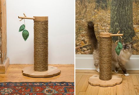 Creative Cat Scratching Post, Diy Cat Scratcher, Pet Play Area, Feral Cat House, Kitten House, Cat Wall Furniture, Cat Tree Condo, Cat Playground, Cat Furniture Diy