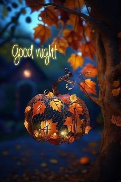 Sweet Dreams Good Night, Sweet Dreams Images, Good Night Love Pictures, Photos Of Good Night, New Good Night Images, Good Dreams, Hello Saturday, Good Night Funny, Night Friends