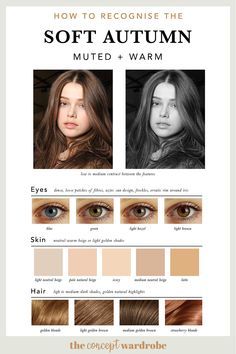 Seasonal Colour Analysis, Soft Autumn Makeup, The Concept Wardrobe, Concept Wardrobe, Soft Autumn Palette, Autumn Skin, Deep Autumn Color Palette, Soft Autumn Color Palette, Light Brown Skin