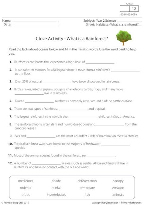 Plants And Animals Worksheet, Rainforest Worksheets, Butterfly Worksheet, Rainforest Facts, Rainforest Project, Rainforest Activities, Animals Worksheet, 2nd Grade Reading Worksheets, Life Cycle Of A Butterfly