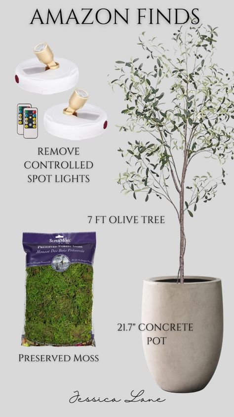 Shop Phimos 7FT Artificial Olive Tree … and other curated products on LTK, the easiest way to shop everything from your favorite creators. Olive Tree Front Porch, Olive Tree Living Room Decor, Indoor Faux Tree, Modern Olive Tree, Faux Olive Tree Indoor, Olive Tree Indoor, Indoor Olive Tree, Olive Sofa, Artificial Olive Tree