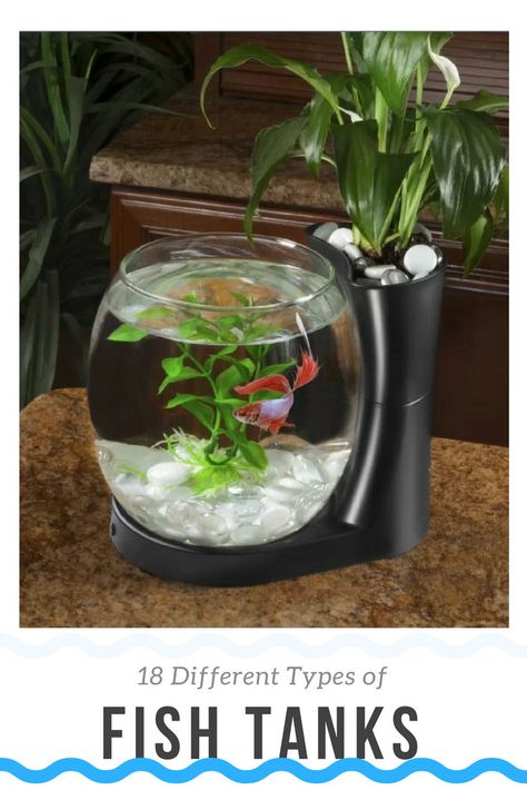 Aquarium Bowl, Betta Fish Bowl, Goldfish Tank, Cool Fish Tanks, Mini Aquarium, Indoor Water Garden, Bowl Planter, Betta Fish Tank, Cool Fish