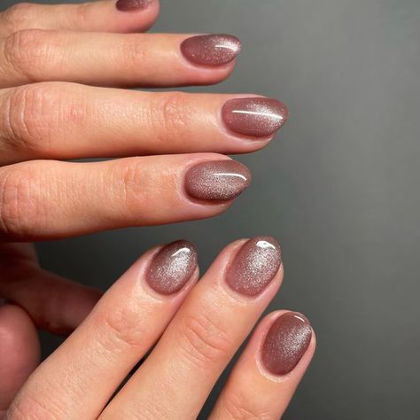 Mauve Nails With Nail Art, Crushed Velvet Nails, Short Velvet Nails, Nude Velvet Nails, Ombre Cat Eye Nails Design, Velvet Nails Short, Subtle Autumn Nails, Fall Velvet Nails, Brown Velvet Nails