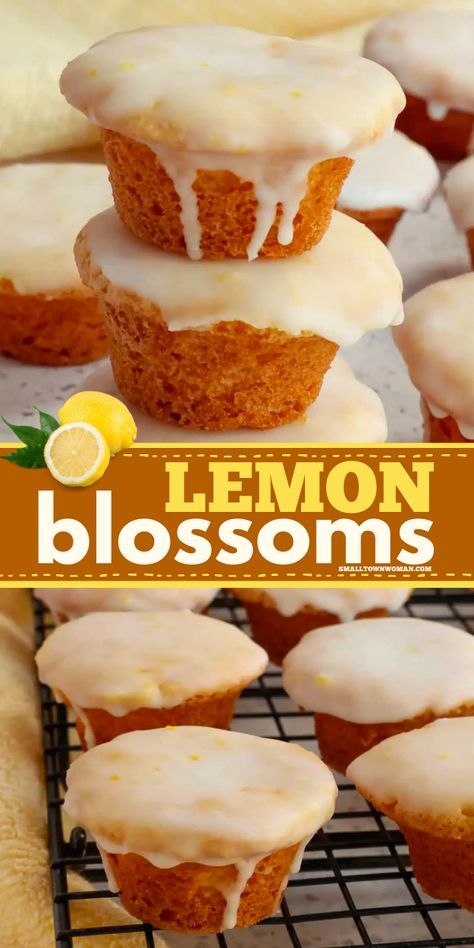 Add fun to your Spring dessert recipes with these easy lemon blossoms! These best lemon mini cakes are deliciously baked in a mini muffin tin and topped with a three-ingredient lemon glaze. What's not to love? Lemon Blossoms Recipe, Muffin Tin Recipes Dessert, Mini Lemon Cakes, Mini Muffin Pan Recipes, Spring Dessert Recipes, Lemon Recipes Easy, Mini Muffin Tin Recipes, Lemon Glaze Cake, Lemon Desserts Easy