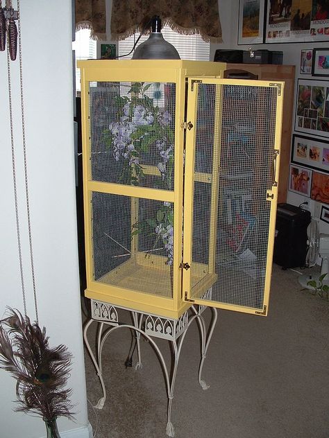 Indoor & Outdoor Butterfly Habitats & Cages Butterfly Enclosure Diy, Butterfly Enclosure, Insect Enclosure, Monarch Butterfly Habitat, Raising Monarch Butterflies, Houses For Sale Near Me, Butterfly Cage, Raising Butterflies, Diy Bird Cage