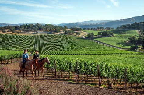 Napa Valley Wine Tasting, Napa Valley Winery, Birthday Getaway, Ranch Estate, Best Sparkling Wine, Horseback Riding Trails, Instant Family, Napa Valley Wineries, Birthday Plans