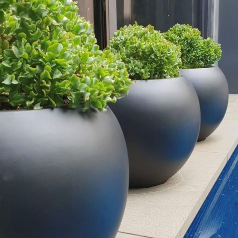 918 Likes, 8 Comments - The Balcony Garden (@thebalconygarden) on Instagram: “Well hello, Weekend. Where have you been all week? ____ @claphamlandscape” Industrial Chic Design, Stone Planters, Square Planters, Outdoor Pots, Small Planter, The Balcony, Container Flowers, Balcony Garden, Small Plants