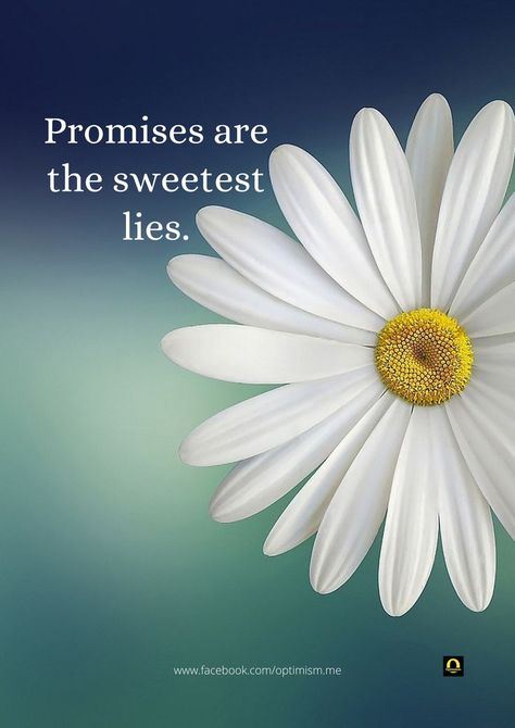 Promises are the sweetest lies. Promises Are The Sweetest Lies, Optimism Quotes, You Promised, Quotes, Photography