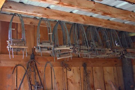 Alaska fur trapping frames. Fur stretching frames in a Alaska trappers shed #Sponsored , #AD, #ad, #fur, #frames, #trappers, #trapping French Fur Trapper, Fur Trapping Tools, Trapper Keeper Binder, How To Build A Snare Trap, Trappers Cabin, Alaska, Shed, Stock Photos, Wood