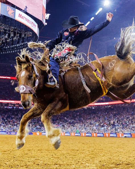 Rodeo 101 - Houston Livestock Show and Rodeo Houston Livestock Show And Rodeo, Rodeo Houston, Livestock Show, Rodeo Events, Rodeo Cowboys, Showing Livestock, Rodeo, Houston, Quick Saves