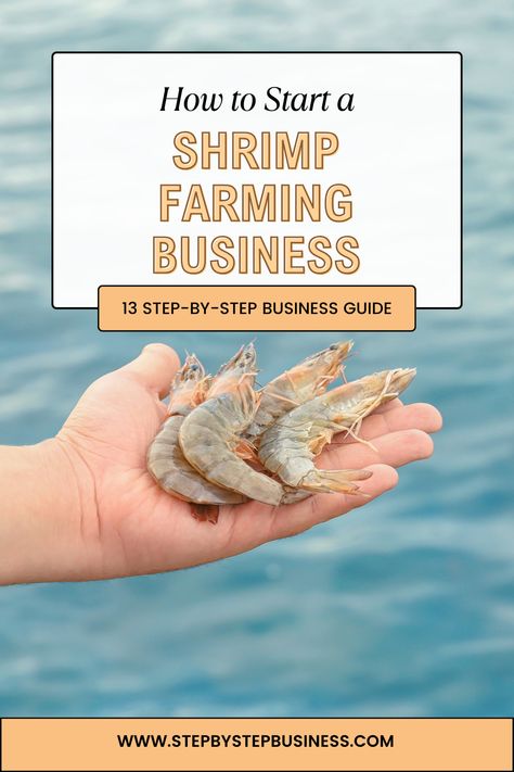 A complete step-by-step guide to starting a shrimp farming business including costs, profit potential, registering your business, and hiring staff. #shrimpfarmingbusiness Prawn Farming, Freshwater Shrimp, Shrimp Farming, Aquaponics Greenhouse, Backyard Aquaponics, Fish Farm, Farming Business, Fish Farming, Energy Projects