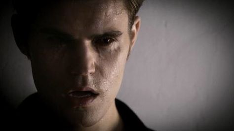 No humanity stefan The Vampire Diaries Vampire Face, Vampire Diaries Vampire Face, Ripper Stefan, The Reckoning, Katherine Pierce, Paul Wesley, Stefan Salvatore, Vampire Diaries, Animated Gif