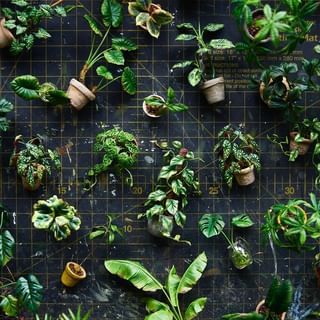 Hannah Lemon | Let’s make some miniature watering cans with @excelblades !! All you need is paper, wooden skewers, tooth pick, and some glue. I painted… | Instagram Wooden Skewers, Tooth Pick, Diy Shadow Box, Watering Cans, Vintage Suitcases, Model Maker, Mini Plants, Miniature Model, Spring Is Here