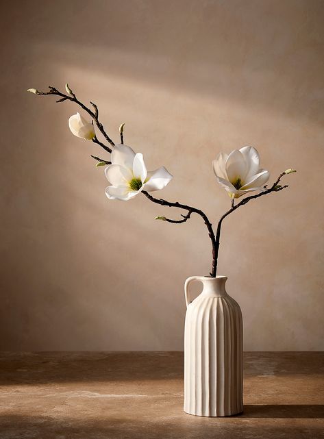 Magnolia Branches In Vase, Curved Bed, Magnolia Branch, Artificial Branches, Dry Branch, Asian Flowers, Floral Tattoos, White Magnolia, Decorative Planters