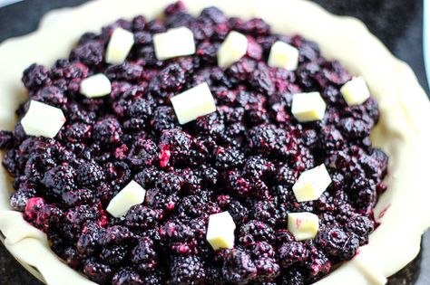 I love this lady's take on how fruit pies should be...will try her recipe: Black Raspberry Pie Black Raspberry Recipes, Black Raspberry Pie, Saskatoon Berry Pie, Raspberry Pie Recipe, Raspberry Cobbler, Black Raspberries, Raspberry Pie, Raspberry Recipes, Berries Recipes