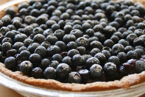 Dorothy's Fresh Blueberry Pie Fresh Blueberry Pie, Summer Pie, Pie Day, Blueberry Pie, Blueberry Recipes, Sweet Food, Frozen Yogurt, Pie Crust, Pie Recipes