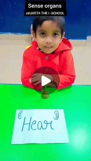 Sense Activity For Preschool, Sense Organs For Kindergarten, Sense Organs Activities, My Senses Activities Preschool, Pre Nursery Activities, Sense Organs Worksheets, Sense Organs, Nursery Worksheets, Senses Preschool