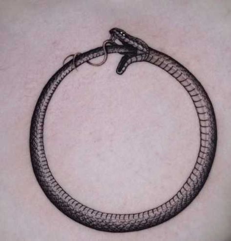 21 Mesmerizing Snake Tattoos on Stomach: Embrace the Allure of Serpents Black And Grey Tattoos For Men, Ouroboros Tattoo, Circle Tattoos, Arm Band Tattoo, Stomach Tattoos, Line Work Tattoo, Next Tattoo, Band Tattoo, Snake Tattoo