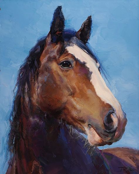 #horseart • Instagram Equine Artwork, Painting Face, Horse Oil Painting, Horse Sketch, Horse Portrait, Brown Horse, Horse Equestrian, Equine Art, Horse Pictures