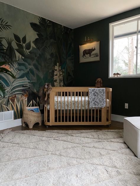 jungle, nursery decor, baby, interior design Rain Forest Nursery, Moody Jungle Nursery, Rainforest Themed Nursery, Tropical Jungle Nursery, Jungle Wallpaper Nursery, Tarzan Nursery, Jungle Book Nursery, Rainforest Nursery, Moody Nursery