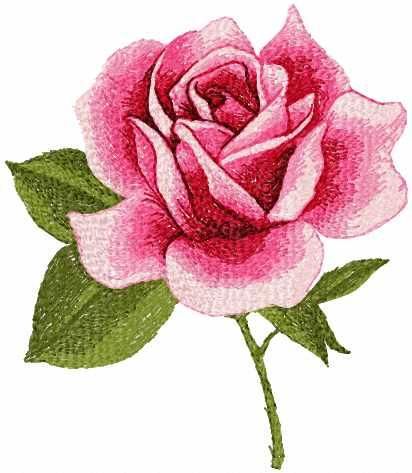 Red rose photo stitch free machine embroidery design - Photo stitch embroidery designs - Machine embroidery community Red Rose Photo, Rose Pattern Design, Rose Embroidery Designs, Rose Embroidery Pattern, Photo Stitch, Pola Bordir, Machine Embroidery Thread, Rose Photo, Pola Sulam