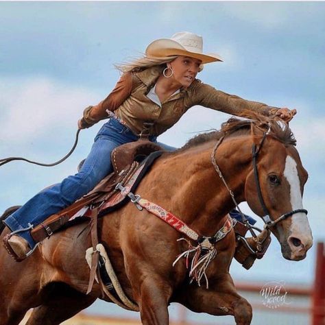 Rodeo Horses Barrels, National Finals Rodeo, Rodeo Horses, Rookie Of The Year, Cowboy Horse, Western Girl, Barrel Racing, Cowboy And Cowgirl, Country Outfits