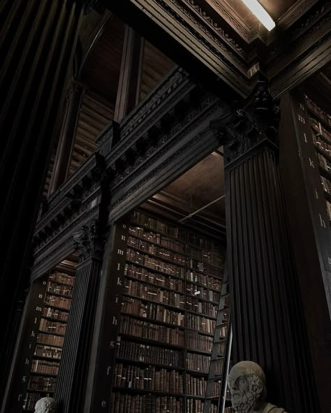 Haunted Academia, Neoclassical Architecture Interior, Knights Of Walpurgis, Abandoned Library, Malfoy Manor, Art Academia, Triwizard Tournament, Dark Academic, Classic Academia