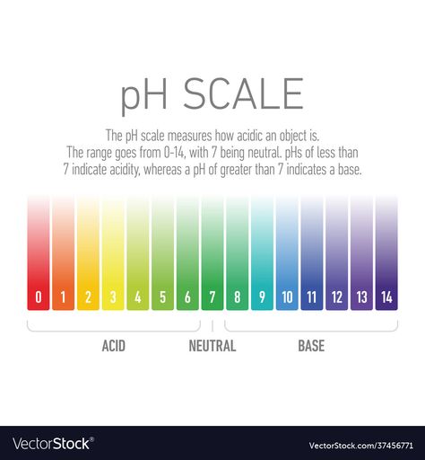 Acid Base Balance, Acid Base, Greater Than, Dream Cars, Projects To Try