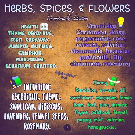 Magickal Herbs, Angel Tarot Cards, Witchcraft Spell Books, Witch Spell Book, Herbal Magic, Valerian, Natural Diy, Marjoram, Lemon Balm