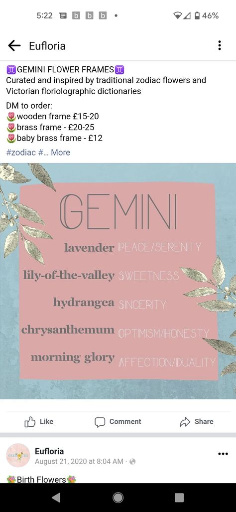 Gemini Birth Flower, Gemini Flower Tattoo, Gemini Flower, June Gemini, Gemini Life, Bff Tattoos, Birth Flowers, Brass Frame, Art Tips