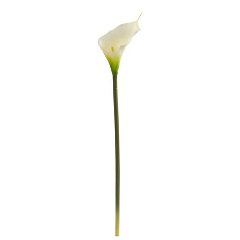 "Buy the White Calla Lily Flower, 12ct. at Michaels. com. Simple and elegant, the artificial calla lily contains a single small bloom that sits atop a green stem. Simple and elegant, the artificial calla lily contains a single small bloom that sits atop a green stem. Due to its simple design, it can blend in nearly seamlessly with any established setup in your home. Use this set of twelve 28\" flowers to add a subtle pop of color to a floral arrangement on a mantelpiece or sofa table in your liv Travertine Outdoor, Nearly Natural, Porcelain Mosaic, White Vases, Floral Display, Lantern Candle Holders, Stone Mosaic, Lily Flower, Calla Lily