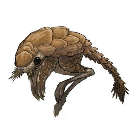 Creature Artwork, Cute Fantasy Creatures, Fantasy Beasts, Alien Concept Art, Monster Concept Art, Creature Drawings, Alien Creatures, Fantasy Creatures Art, Fantasy Monster