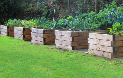 Vermont Garden Journal: Pro Tips For Raised Bed Gardening | Vermont Public Radio Raised Garden Bed Plans, Diy Garden Bed, Building Raised Garden Beds, Vegetable Garden Raised Beds, Building A Raised Garden, Video Garden, Diy Raised Garden, Raised Garden Beds Diy, Sloped Garden