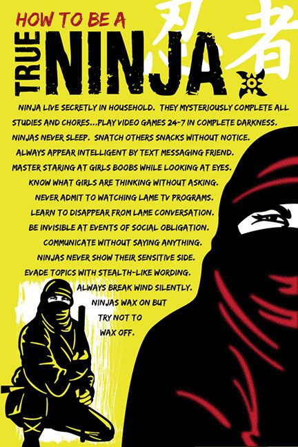 How To Be A Ninja, Break Wind, Ninja Skills, Posters Funny, Real Ninja, Ninja Funny, Funny Art Print, Frat House, Ninja Wallpaper