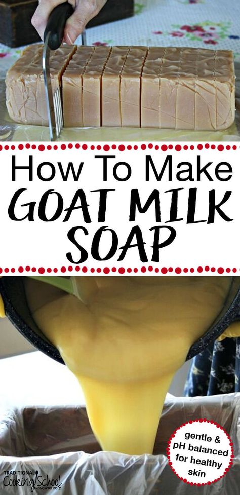 Homemade goat milk soap has many skin nourishing benefits. This DIY recipe will show you how to make this skin soothing soap at home allowing you to add whatever scents you love! #goatmilk #soap #recipe #DIY #homemade #lye #tradcookschool Make Goat Milk Soap, Goat Milk Soap Recipe, Milk Soap Recipe, Homemade Goat Milk Soap, Goat Milk Recipes, Diy Soap Recipe, Soap Homemade, Soap Making Recipes, Bath And Body Products