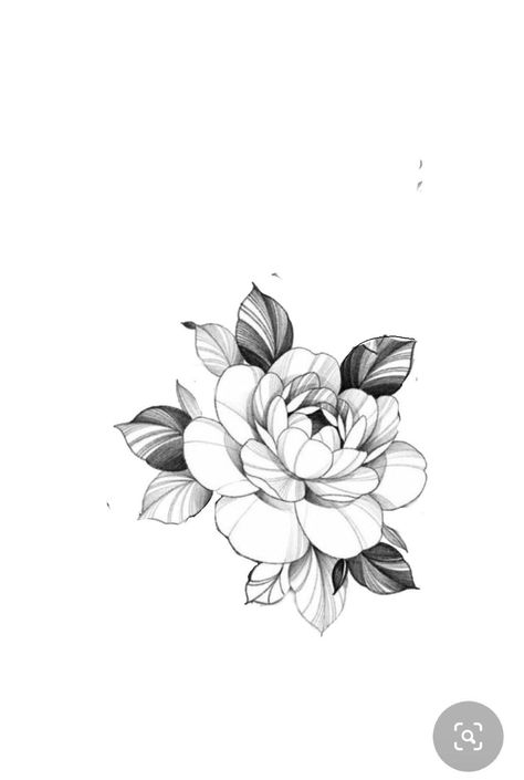 Fineline Flowers Tattoo, Round Flower Tattoo, Zihwa Tattoo, Round Tattoo Ideas, Peonies Tattoo Design, Gardenia Flower Tattoo, Linework Flower Tattoo, Peony Flower Tattoo Design, Peony Flower Drawing