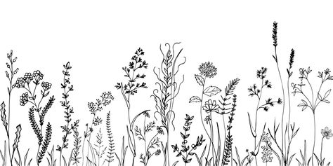 Wild Flower Drawing, Wildflower Drawings, Weeds Drawing, Herb Drawings, Herbal Flowers, Herbal Tattoo, Wildflower Drawing, Grass Flowers, Flower Line Drawings