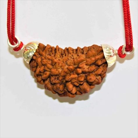 Rudraksha Pendant Detail-

Bead Name- Rudraksha

Rudraksha Face/ Mukhi- One

Bead Shape- Cashew

Bead Color- Brown

Bead Origin- Himalaya

Bead Natural- Yes

Bead Certified- Yes

Pendant Metal- 925 Sterling Silve Rudraksha Pendant, Rudraksha Jewelry, Shiva Parvati, Astrology Jewelry, Rudraksha Beads, Brass Statues, Things Under A Microscope, Types Of Gemstones, Wallpaper Free