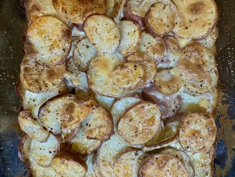 If you are looking for a quick and easy side dish to serve or take to Thanksgiving or Christmas or even to make a weeknight special – I have just the thing. This recipe for very delicious Potatoes au Gratin with Boursin Cheese will make your day. With three ingredients and almost no mess it… Boursin Cheese Potatoes Gratin, Boursin Potatoes Recipe, Boursin Potatoes Au Gratin, Boursin Cheese Potatoes, Boursin Scalloped Potatoes, Potatoes With Boursin Cheese, Boursin Potatoes, Delicious Potatoes, Small Red Potatoes