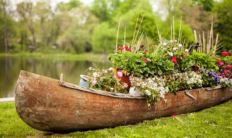 Pondside Canoe planter seen though the Sigma 50mm F1.4 DG HSM | A at F1.4. What a great idea for a planter! Ideas For Decorating, Garden Planter, Amazing Diy, Planting Herbs, Garden Crafts, Dream Garden, Garden And Yard, Garden Planters, Diy Inspiration