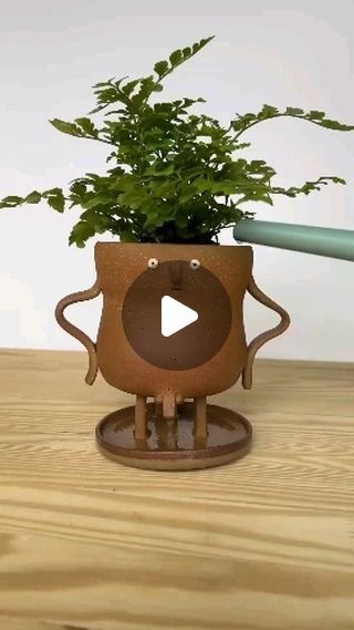 Fantastic Pottery ® | Pottery & Ceramics on Instagram: "Piss Pot 🪴 I have linked similar 3d printed pee planter if you're interested you can check it out.    This handmade stoneware planter pot prevents overwatering by peeing out your plant’s excess water🚿   The plant pictured is an Austral Gem Fern (Asplenium dimorphum x difforme) which prefers well-draining soils, so I figured it would be a perfect specimen to test out this planter prototype.   @artandsuchevan  #art #artandsuch #planter #plants #fern #ceramics #reels #viralvideos #explorepage" Clay Sculpture Plant Pot, Ceramic Plant Propagation, Planter Plants, Pitcher Plant Ceramic, Pottery Orchid Pot, Ceramic Frog Planter, Pottery Ceramics, Plant Pictures, The Plant