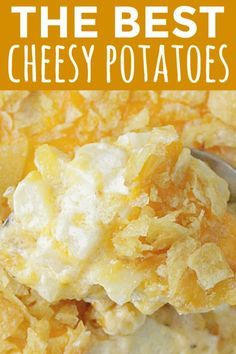 Vegetarian Cheesy Potatoes, Recipe For Cheesy Potatoes, Best Cheesy Potatoes, Cheesy Potatoes With Hashbrowns, Cream Of Onion Soup, Cheesy Potatoes Recipe, Cheesy Potato Casserole, Vegetarian Crockpot Recipes, Hashbrown Casserole