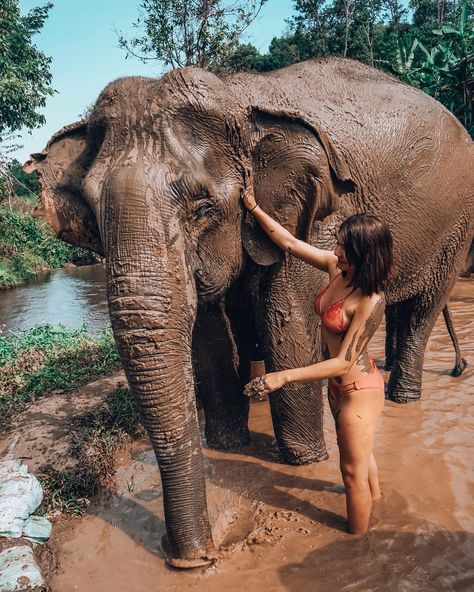 BLANCA • DIAZ on Instagram: “Check bathing in the mud with an elephant off the bucket list ✔️” Elephant Mud Bath Thailand, Elephant Sanctuary Outfit, Bathing Elephants, Elephant Bath, Stop Human Trafficking, Summer Scents, Thailand Elephants, Thailand Vacation, Thailand Adventure