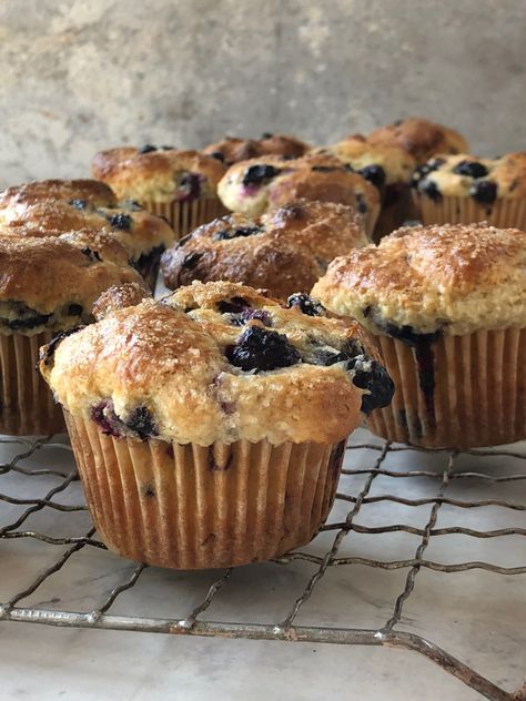 Blueberry Muffins with Olive Oils from Spain – Inspiration for Everyday Food Made Marvelous Buttermilk Blueberry Muffins, Oat Bran Muffins, Buttermilk Muffins, Muffins Blueberry, Coconut Muffins, Blueberry Oat, Quiche Recipes Easy, Small Coffee Shop, Buttermilk Recipes