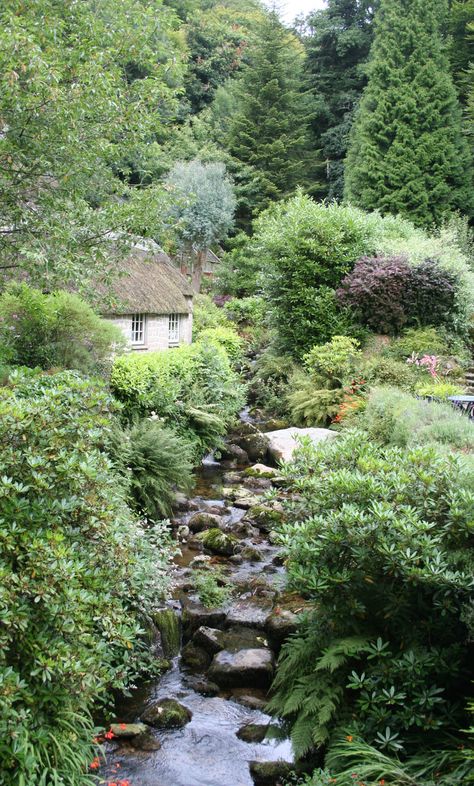 Cottage by the water in Devon England! Cottages England, English Cottages, Devon England, Thatched Cottage, Small Cottage, England And Scotland, English Cottage, English Countryside, British Isles