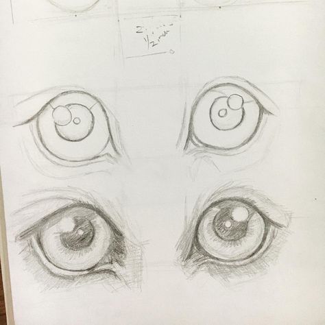 Sketch of dog eyes How To Draw Dog Eyes Step By Step, Dogs Eyes Drawing, Dog Eye Drawing, Things To Draw Animals, Dog Eyes Drawing, Sketch Of Dog, Realistic Animal Drawings, Canine Drawing, Pencil Drawings Of Animals