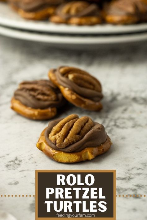 Pretzel Rollo Pecan Christmas Treats, Roll Pretzel Candy, Pretzels Rolos And Pecans, Pretzel With Chocolate Candy Melts, Rollo Pretzel Treats, Pretzels With Rolos, Pretzel Chocolate Treats, Pretzels And Rolos, Pretzel Rolo Pecan