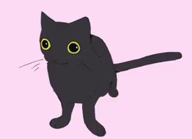 Derpy Cat Drawing, Egirl Inspo, Jinx The Cat, Derpy Cats, Cat Egg, Funny Cat Images, Cute Black Cats, Silly Animals, Silly Cats